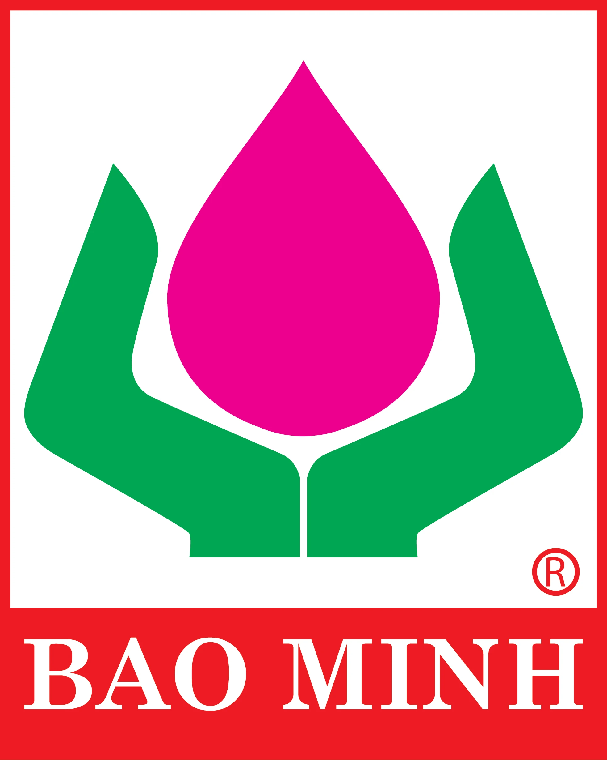 Bảo Minh Insurance Logo