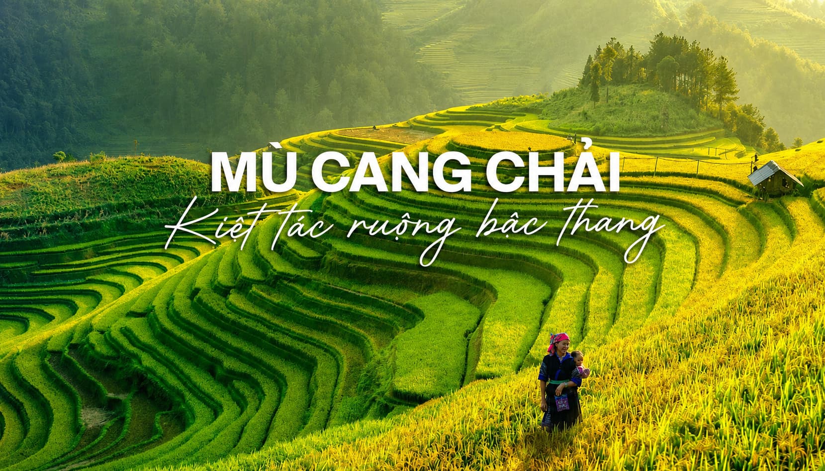 Bảo hiểm khách du lịch trong nước Bảo Minh